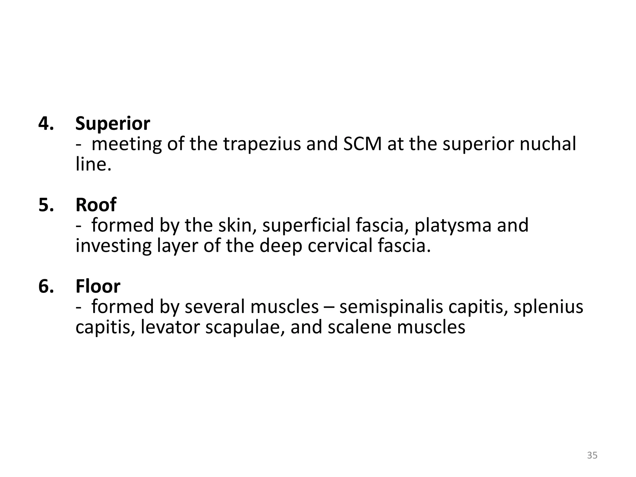 4. Superior
   - meeting of the trapezius and SCM at the superior nuchal
   line.
5. Roof
   - formed by the skin, superficial fascia, platysma and
   investing layer of the deep cervical fascia.
6. Floor
   - formed by several muscles – semispinalis capitis, splenius
   capitis, levator scapulae, and scalene muscles




                                                                  35
 