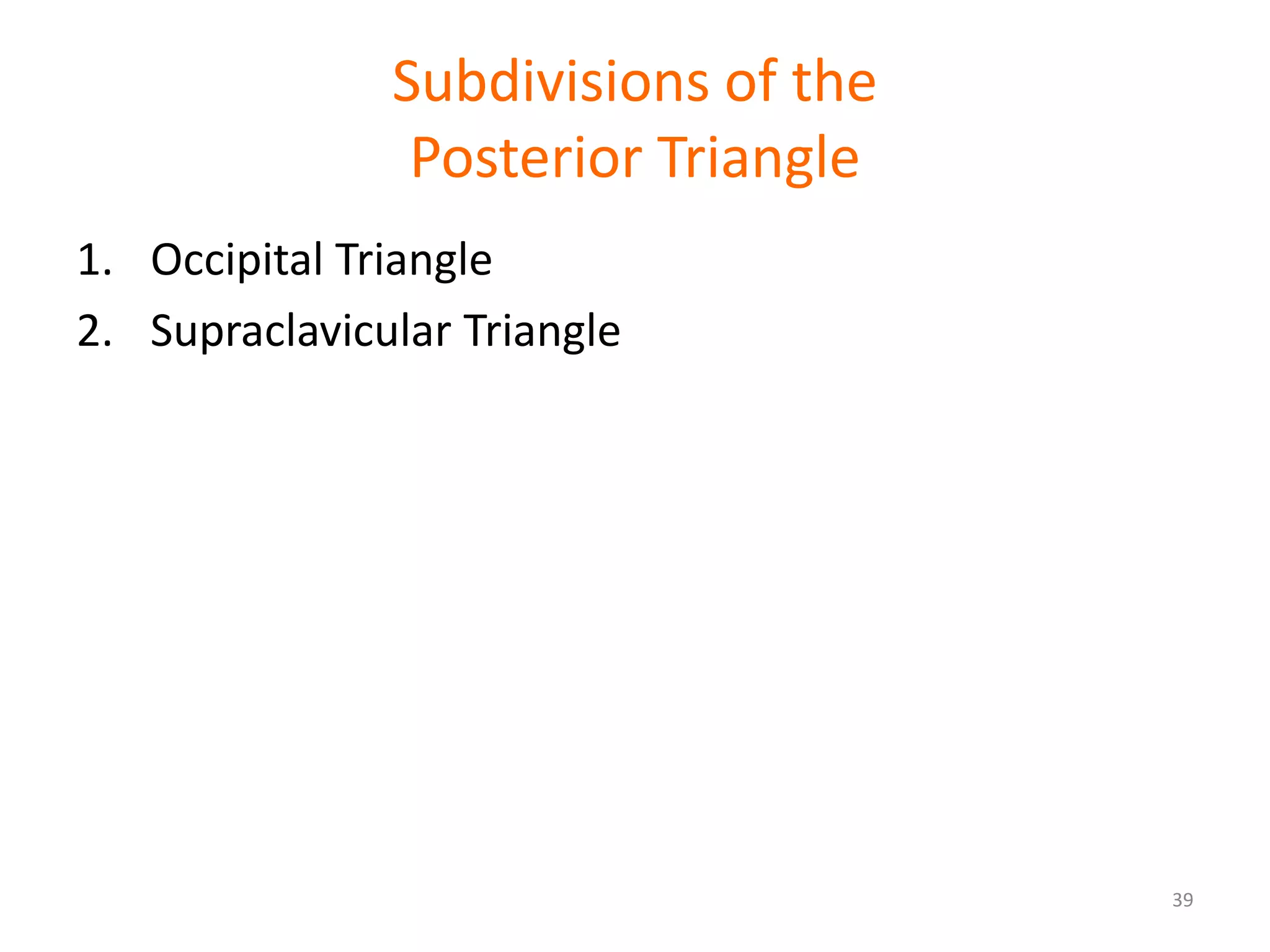 Subdivisions of the
                Posterior Triangle
1. Occipital Triangle
2. Supraclavicular Triangle




                                     39
 