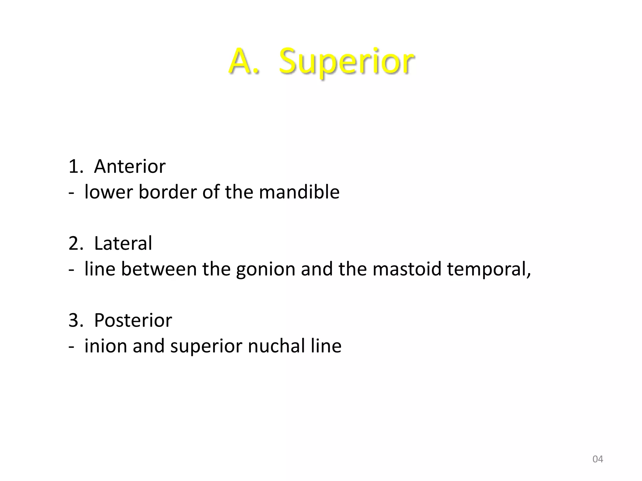 A. Superior

1. Anterior
- lower border of the mandible

2. Lateral
- line between the gonion and the mastoid temporal,

3. Posterior
- inion and superior nuchal line




                                                      04
 