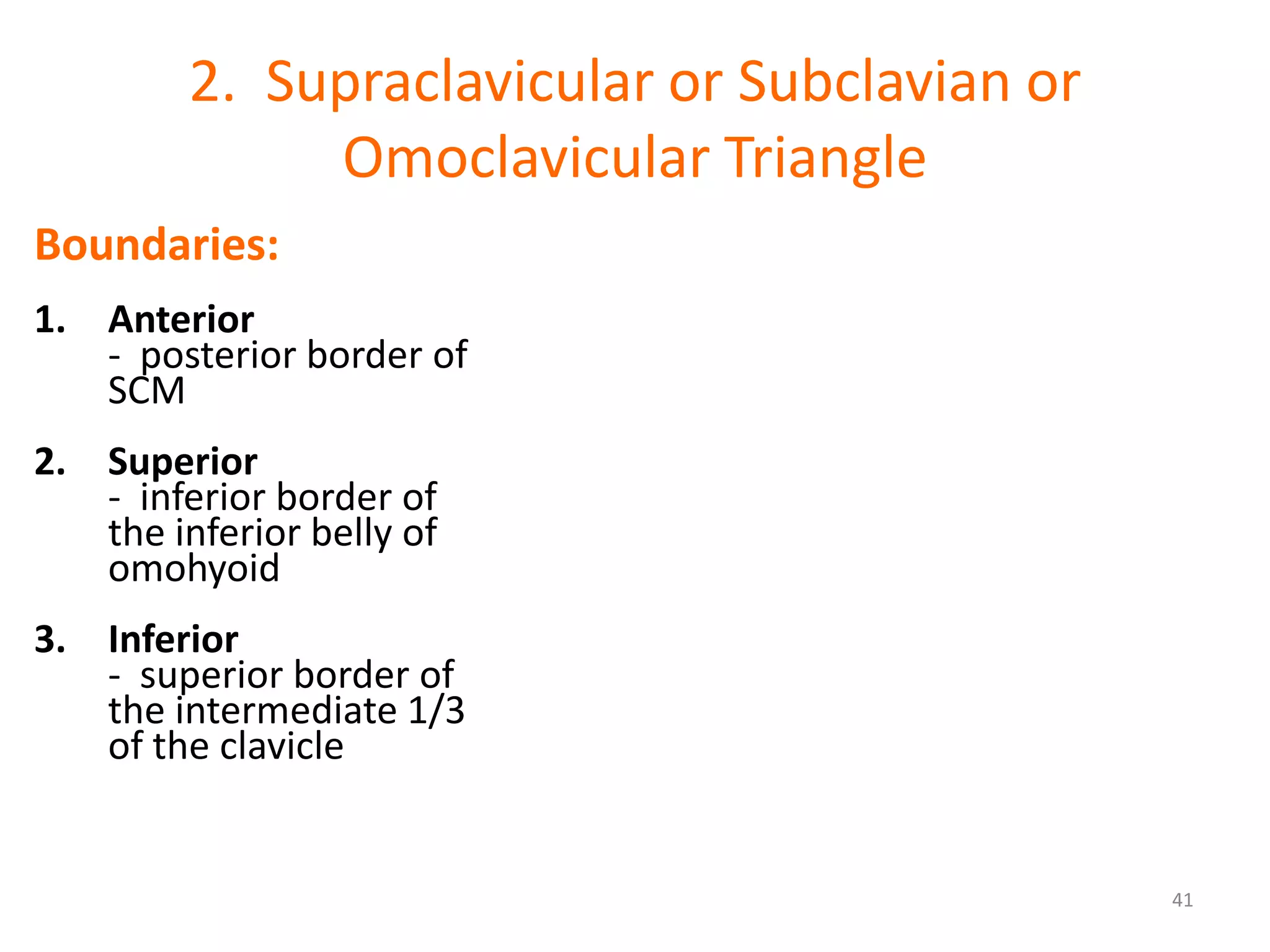 2. Supraclavicular or Subclavian or
              Omoclavicular Triangle
Boundaries:
1. Anterior
   - posterior border of
   SCM
2. Superior
   - inferior border of
   the inferior belly of
   omohyoid
3. Inferior
   - superior border of
   the intermediate 1/3
   of the clavicle


                                               41
 