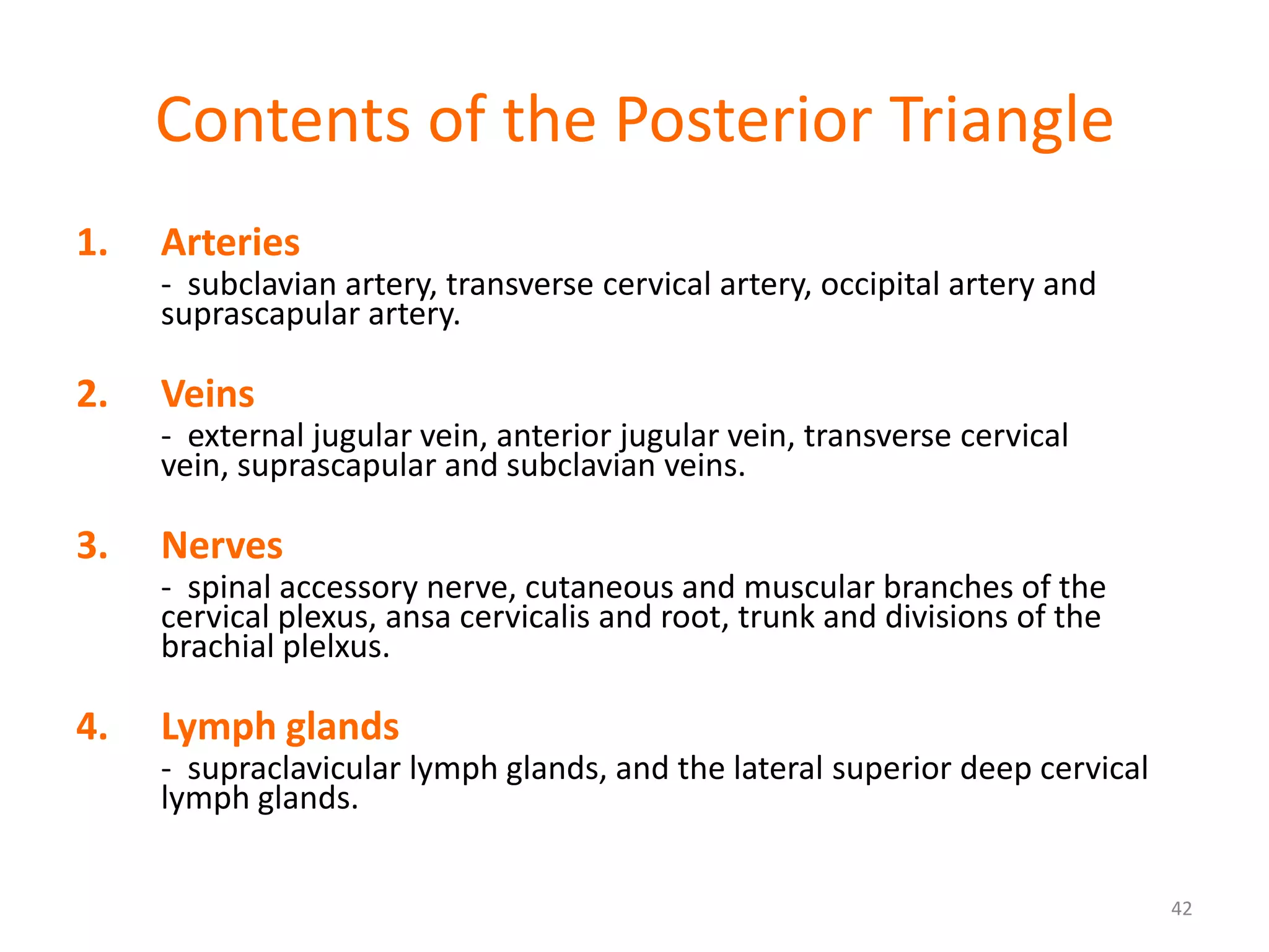 Contents of the Posterior Triangle
1.   Arteries
     - subclavian artery, transverse cervical artery, occipital artery and
     suprascapular artery.

2.   Veins
     - external jugular vein, anterior jugular vein, transverse cervical
     vein, suprascapular and subclavian veins.

3.   Nerves
     - spinal accessory nerve, cutaneous and muscular branches of the
     cervical plexus, ansa cervicalis and root, trunk and divisions of the
     brachial plelxus.

4.   Lymph glands
     - supraclavicular lymph glands, and the lateral superior deep cervical
     lymph glands.


                                                                              42
 