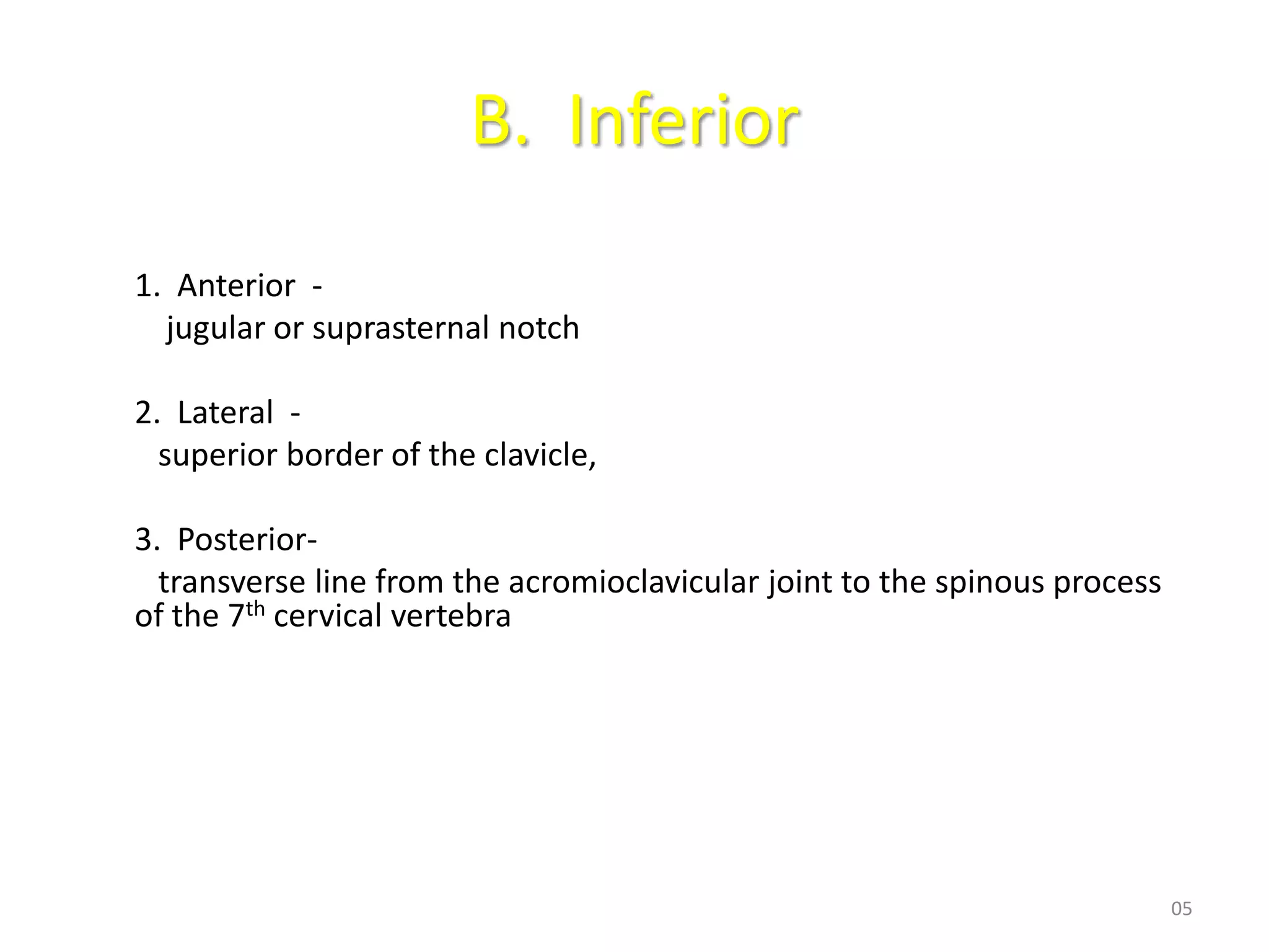 B. Inferior
1. Anterior -
  jugular or suprasternal notch

2. Lateral -
  superior border of the clavicle,

3. Posterior-
  transverse line from the acromioclavicular joint to the spinous process
of the 7th cervical vertebra




                                                                            05
 
