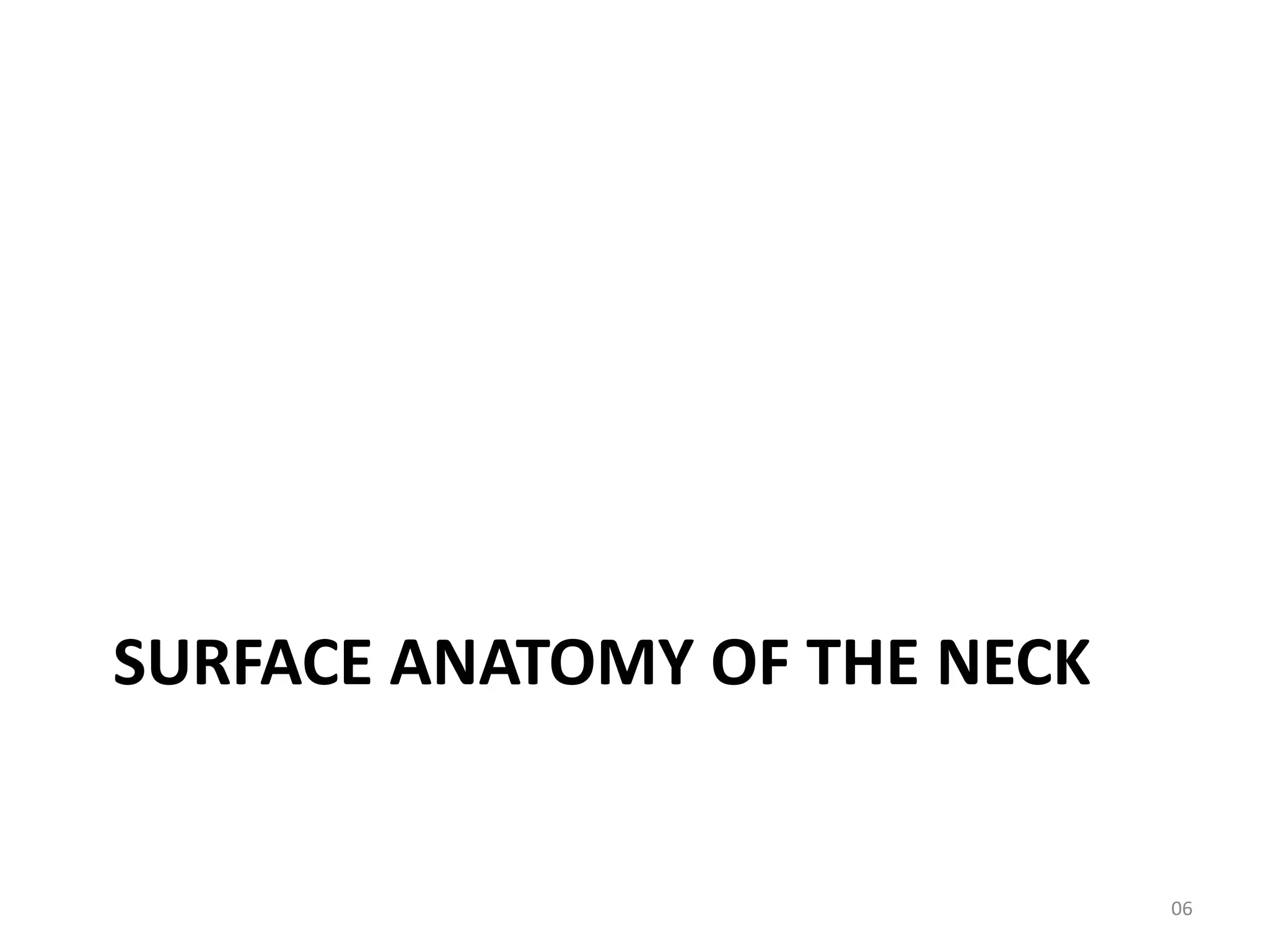 SURFACE ANATOMY OF THE NECK


                              06
 