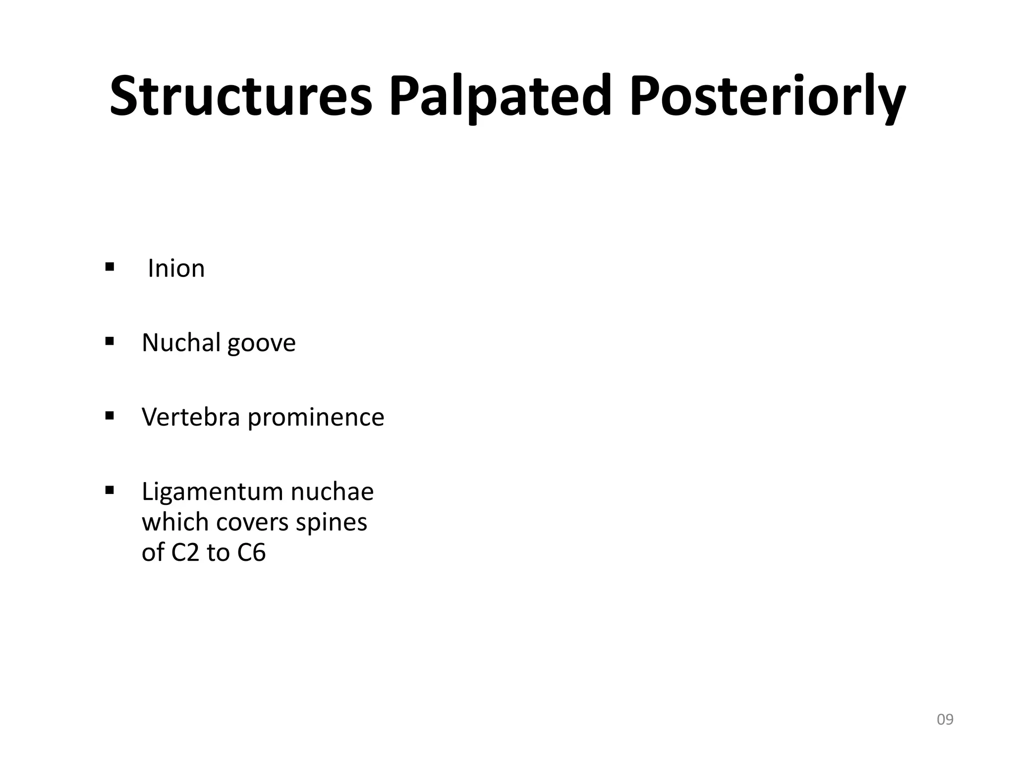Structures Palpated Posteriorly

   Inion

 Nuchal goove

 Vertebra prominence

 Ligamentum nuchae
  which covers spines
  of C2 to C6




                                  09
 