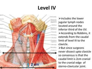 includes the lower
jugular lymph nodes
located around the
inferior third of the IJV.
According to Robbins, it
extends fr...