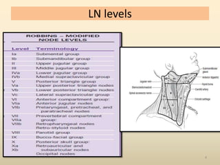 Layered Neck Level Neck node management | PPTX