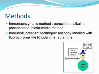 Methods
 Immunoenzymatic method : peroxidase, alkaline
phosphatase, biotin-avidin method
 Immunofluorescent technique: antibody labelled with
fluorochrome like Rhodamine, auramine.
 