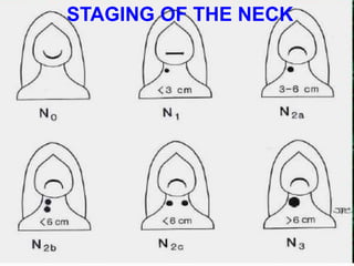 STAGING OF THE NECK
 