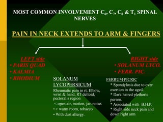 PAIN IN NECK EXTENDS TO ARM & FINGERS
RIGHT side
• SOLANUM LYCO.
• FERR. PIC.
LEFT side
• PARIS QUAD
• KALMIA
• RHODIUM
MOST COMMON INVOLVEMENT C6, C7, C8 & T1 SPINAL
NERVES
SOLANUM
LYCOPERSICUM
Rheumatic pain in rt. Elbow,
wrist & hand, RT deltoid,
pectoralis region
< open air, motion, jar, noise.
• > warm room, tobacco
• With dust allergy.
FERRUM PICRIC
* Spondylosis due to over
exertion in the aged.
* Dark haired plethoric
person.
* Associated with B.H.P.
* Right side neck pain and
down right arm
 