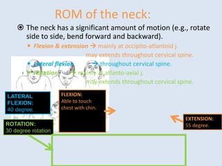 ROM of the neck:
 The neck has a significant amount of motion (e.g., rotate
side to side, bend forward and backward).
 Flexion & extension  mainly at occipito-atlantoid j.
may extends throughout cervical spine.
 Lateral flexion  throughout cervical spine.
 Rotation  mainly at atlanto-axial j.
may extends throughout cervical spine.
EXTENSION:
55 degree.
ROTATION:
30 degree rotation
LATERAL
FLEXION:
40 degree.
FLEXION:
Able to touch
chest with chin.
 