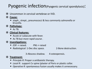 Pyogenic infection(Pyogenic cervical spondylosis):
 Uncommon in cervical vertebrae or IVD.
 Cause:
 staph., strept., pneumococci & less commonly salmonella or
brucella.
 Pathology:
 As TB.
 Clinical features:
 Acute or subacute with fever.
 As TB but more rapid course .
 Investigations:
 ESR -> raised. PNL-> raised
 Radiological: 1-Dec disc space. 2-Bone destruction.
3-Abscess shadow. 4-osteoperosis.
 Treatment:
 Principle R: Proper a antibaiotic therapy.
 Local R: support Cv spine (plaster of Paris or plastic collar.
 Operative R: spontaneous fusion usually makes it unnecessary.
 