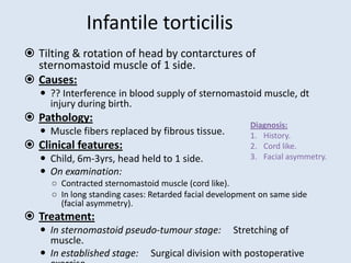 Infantile torticilis
 Tilting & rotation of head by contarctures of
sternomastoid muscle of 1 side.
 Causes:
 ?? Interference in blood supply of sternomastoid muscle, dt
injury during birth.
 Pathology:
 Muscle fibers replaced by fibrous tissue.
 Clinical features:
 Child, 6m-3yrs, head held to 1 side.
 On examination:
○ Contracted sternomastoid muscle (cord like).
○ In long standing cases: Retarded facial development on same side
(facial asymmetry).
 Treatment:
 In sternomastoid pseudo-tumour stage: Stretching of
muscle.
 In established stage: Surgical division with postoperative
Diagnosis:
1. History.
2. Cord like.
3. Facial asymmetry.
 