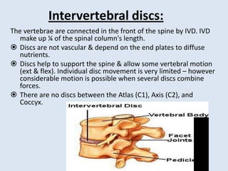 Intervertebral discs:
The vertebrae are connected in the front of the spine by IVD. IVD
make up ¼ of the spinal column's length.
 Discs are not vascular & depend on the end plates to diffuse
nutrients.
 Discs help to support the spine & allow some vertebral motion
(ext & flex). Individual disc movement is very limited – however
considerable motion is possible when several discs combine
forces.
 There are no discs between the Atlas (C1), Axis (C2), and
Coccyx.
 