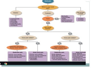 Differential diagnosis for neck pain DD.pptx