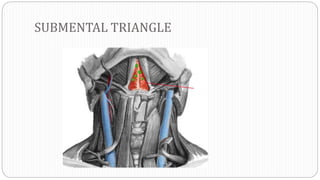 SUBMENTAL TRIANGLE
 