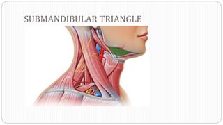 SUBMANDIBULAR TRIANGLE
 