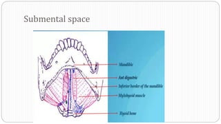 Submental space
 