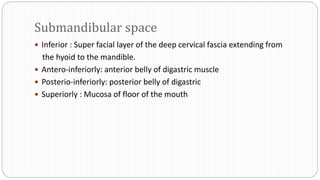 Submandibular space
 Inferior : Super facial layer of the deep cervical fascia extending from
the hyoid to the mandible.
 Antero-inferiorly: anterior belly of digastric muscle
 Posterio-inferiorly: posterior belly of digastric
 Superiorly : Mucosa of floor of the mouth
 