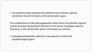  The potential space between the palatine tonsil and the superior
constrictor muscle is known as the peritonsillar space.
The condensation of the pharyngobasillar which forms the tonsillar capsule
may be breached by bacterial infections of the tonsil, resulting in abscess
formation in the peritonsillar space, also known as a quinsy.
 Untreated peritonsillar infections may spread to involve the
parapharyngeal space.
 