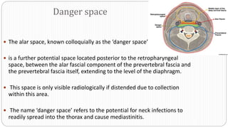 Danger space
 The alar space, known colloquially as the ‘danger space’
 is a further potential space located posterior to the retropharyngeal
space, between the alar fascial component of the prevertebral fascia and
the prevertebral fascia itself, extending to the level of the diaphragm.
 This space is only visible radiologically if distended due to collection
within this area.
 The name ‘danger space’ refers to the potential for neck infections to
readily spread into the thorax and cause mediastinitis.
 
