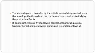  The visceral space is bounded by the middle layer of deep cervical fascia
that envelops the thyroid and the trachea anteriorly and posteriorly by
the pretracheal fascia.
 It contains the larynx, hypopharynx, cervical oesophagus, proximal
trachea, thyroid and parathyroid glands and lymphatics of level VI.
 