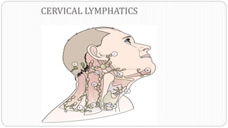CERVICAL LYMPHATICS
 