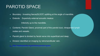 Sldcf Neck spaces .pptx