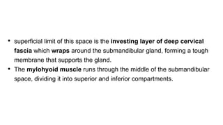 • superficial limit of this space is the investing layer of deep cervical
fascia which wraps around the submandibular gland, forming a tough
membrane that supports the gland.
• The mylohyoid muscle runs through the middle of the submandibular
space, dividing it into superior and inferior compartments.
 