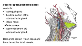 superior space/sublingual space:
contents :
• sublingual gland
• the deep portion of the
submandibular gland
• lingual nerve.
Inferior space:
• superficial lobe of the
submandibular gland.
Both areas contain lymph nodes and
branches of the facial vessels.
 