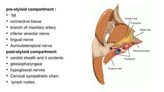 pre-styloid compartment :
• fat
• connective tissue
• branch of maxillary artery
• inferior alveolar nerve
• lingual nerve
• Auriculotemporal nerve.
post-styloid compartment:
• carotid sheath and it contents
• glossopharyngeal
• hypoglossal nerves
• Cervical sympathetic chain
• lymph nodes.
 