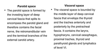Parotid space
• The parotid space is formed by
the investing layer of deep
cervical fascia that splits to
encompass the parotid gland and
therefore contains the facial
nerve, the retromandibular vein
and the terminal branches of the
external carotid artery.
Visceral space
• The visceral space is bounded by
the middle layer of deep cervical
fascia that envelops the thyroid
and the trachea anteriorly and
posteriorly by the pretracheal
fascia. It contains the larynx,
hypopharynx, cervical oesophagus,
proximal trachea, thyroid and
parathyroid glands and lymphatics
of level VI.
 