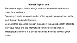 Internal Jugular Vein
• The internal jugular vein is a large vein that receives blood from the
brain, face, and neck.
• Beginning It starts as a continuation of the sigmoid sinus and leaves the
skull through the jugular foramen.
• Course It then descends through the neck in the carotid sheath lateral to
the vagus nerve and the internal and common carotid arteries.
Throughout its course, it is closely related to the deep cervical lymph
nodes
 