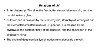 Relations of IJV
• Anterolaterally: The skin, the fascia, the sternocleidomastoid, and the
parotid salivary gland.
• Its lower part is covered by the sternothyroid, sternohyoid, omohyoid and
the sternocleidomastoid muscles . Higher up, it is crossed by the
stylohyoid, the posterior belly of the digastric, and the spinal part of the
accessory nerve.
• The chain of deep cervical lymph nodes runs alongside the vein.
 