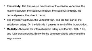 • Posteriorly: The transverse processes of the cervical vertebrae, the
levator scapulae, the scalenus medius, the scalenus anterior, the
cervical plexus, the phrenic nerve.
• The thyrocervical trunk, the vertebral vein, and the first part of the
subclavian artery. On the left side it passes in front of the thoracic duct.
• Medially: Above lie the internal carotid artery and the 9th, 10th, 11th,
and 12th cranialnerves. Below lie the common carotid artery and the
vagus nerve
 