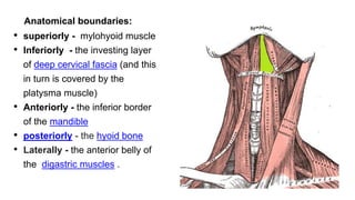 Anatomical boundaries:
• superiorly - mylohyoid muscle
• Inferiorly - the investing layer
of deep cervical fascia (and this
in turn is covered by the
platysma muscle)
• Anteriorly - the inferior border
of the mandible
• posteriorly - the hyoid bone
• Laterally - the anterior belly of
the digastric muscles .
 