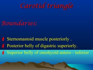 Carotid triangle

Boundaries:

 Sternomastoid muscle posteriorly .
 Posterior belly of digastric superiorly.
 Superior belly of omohyoid antero - inferior .
 