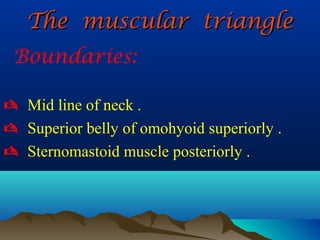 The muscular triangle
 Boundaries:

 Mid line of neck .
 Superior belly of omohyoid superiorly .
 Sternomastoid muscle posteriorly .
 