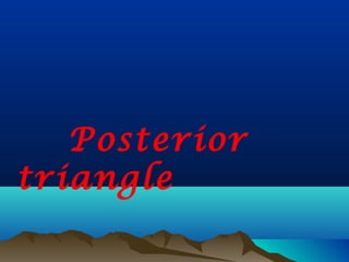 Posterior
triangle
 