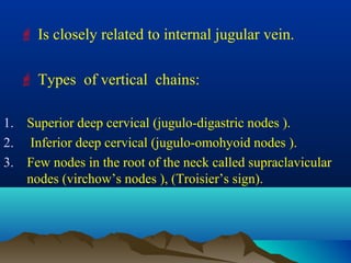  Is closely related to internal jugular vein.

   Types of vertical chains:

1. Superior deep cervical (jugulo-digastric nodes ).
2. Inferior deep cervical (jugulo-omohyoid nodes ).
3. Few nodes in the root of the neck called supraclavicular
   nodes (virchow’s nodes ), (Troisier’s sign).
 