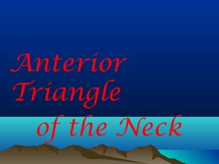 Anterior
Triangle
 of the Neck
 