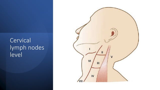 neck swelling.pptx