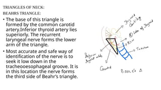 NECK SWELLING IN OTORHINOLARYNGOLOGY .pptx