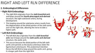 Left Rln Path NECK SWELLING IN OTORHINOLARYNGOLOGY .pptx