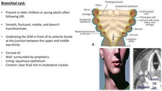 Branchial cyst:
• Present in older children or young adults often
following URI.
• Smooth, fluctuant, mobile, and doesn’t
transilluminate.
• Underlying the SCM in front of its anterior border
at the junction between the upper and middle
two thirds.
• Formed of:
- Wall: surrounded by lymphatics
- Lining: squamous epithelium
- Content: clear fluid rich in cholesterol crystals
 