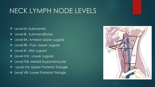 Level Vb Node NECK SWELLINGS surgery presentation .pptx