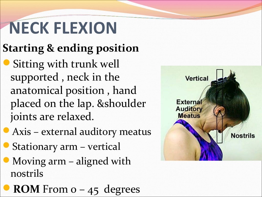 Neck & trunk rom measurement