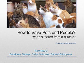 How to Save Pets and People?
when suffered from a disaster
Powered by IBM Bluemix®
Team NECO
Osoekawa, Tsukaya, Chiba, Shinozaki, Ota and Shimoyama
 
