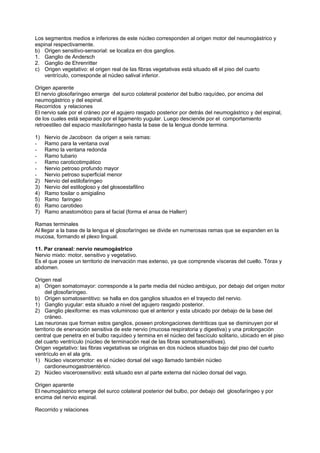 Los segmentos medios e inferiores de este núcleo corresponden al origen motor del neumogástrico y
espinal respectivamente.
b) Origen sensitivo-sensorial: se localiza en dos ganglios.
1. Ganglio de Andersch
2. Ganglio de Ehrenritter
c) Origen vegetativo: el origen real de las fibras vegetativas está situado ell el piso del cuarto
    ventrículo, corresponde al núcleo salival inferior.

Origen aparente
El nervio glosofaríngeo emerge del surco colateral posterior del bulbo raquídeo, por encima del
neumogástrico y del espinal.
Recorridos y relaciones
El nervio sale por el cráneo por el agujero rasgado posterior por detrás del neumogástrico y del espinal,
de los cuales está separado por el ligamento yugular. Luego desciende por el comportamiento
retroestileo del espacio maxilofaringeo hasta la base de la lengua donde termina.

1)   Nervio de Jacobson da origen a seis ramas:
-    Ramo para la ventana oval
-    Ramo la ventana redonda
-    Ramo tubario
-    Ramo caroticotimpático
-    Nervio petroso profundo mayor
-    Nervio petroso superficial menor
2)   Nervio del estilofaringeo
3)   Nervio del estilogloso y del glosoestafilino
4)   Ramo tosilar o amigialino
5)   Ramo faringeo
6)   Ramo carotideo
7)   Ramo anastomótico para el facial (forma el ansa de Hallerr)

Ramas terminales
Al llegar a la base de la lengua el glosofaríngeo se divide en numerosas ramas que se expanden en la
mucosa, formando el plexo lingual.

11. Par craneal: nervio neumogástrico
Nervio mixto: motor, sensitivo y vegetativo.
Es el que posee un territorio de inervación mas extenso, ya que comprende vísceras del cuello. Tórax y
abdomen.

Origen real
a) Origen somatomayor: corresponde a la parte media del núcleo ambiguo, por debajo del origen motor
     del glosofaríngeo.
b) Origen somatosentitivo: se halla en dos ganglios situados en el trayecto del nervio.
1) Ganglio yugular: esta situado a nivel del agujero rasgado posterior.
2) Ganglio plexiforme: es mas voluminoso que el anterior y esta ubicado por debajo de la base del
     cráneo.
Las neuronas que forman estos ganglios, poseen prolongaciones dentriticas que se disminuyen por el
territorio de enervación sensitiva de este nervio (mucosa respiratoria y digestiva) y una prolongación
central que penetra en el bulbo raquídeo y termina en el núcleo del fascículo solitario, ubicado en el piso
del cuarto ventrículo (núcleo de terminación real de las fibras somatosensitivas).
Origen vegetativo: las fibras vegetativas se originas en dos núcleos situados bajo del piso del cuarto
ventrículo en el ala gris.
1) Núcleo visceromotor: es el núcleo dorsal del vago llamado también núcleo
     cardioneumogastroentérico.
2) Núcleo viscerosensitivo: está situado esn al parte externa del núcleo dorsal del vago.

Origen aparente
El neumogástrico emerge del surco colateral posterior del bulbo, por debajo del glosofaríngeo y por
encima del nervio espinal.

Recorrido y relaciones
 