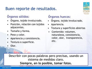 Buen reporte de resultados.
Órganos sólidos:
• Órgano, tejido involucrado.
• Posición, relación con tejidos
adyacentes.
• Tamaño y forma.
• Peso y color.
• Apariencia y consistencia.
• Textura o superficie.
• Olor.
Órganos huecos:
• Órgano, tejido involucrado.
• Apariencia.
• Textura y superficies abiertas
• Contenido: volumen,
naturaleza, consistencia,
color, olor, transparencia,
etc.
Describir con pocas palabras pero precisas, usando un
sistema de medidas claro.
Siempre, en lo posible, tomar fotos.
 