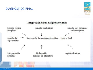 DIAGNÓSTICO FINAL
 